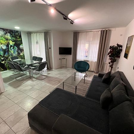 Apartments Velickovic Sokobanja Extérieur photo