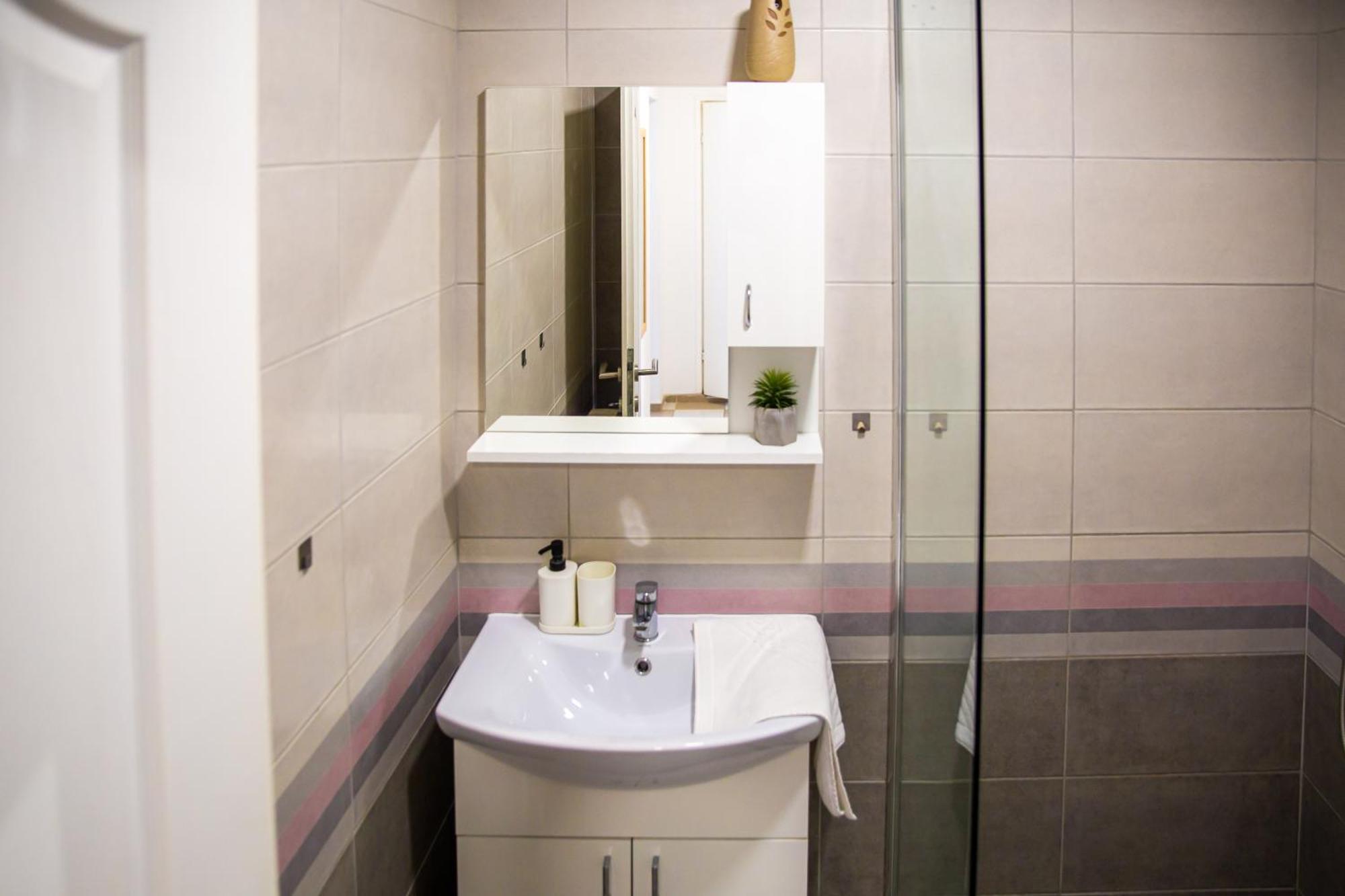 Apartments Velickovic Sokobanja Extérieur photo
