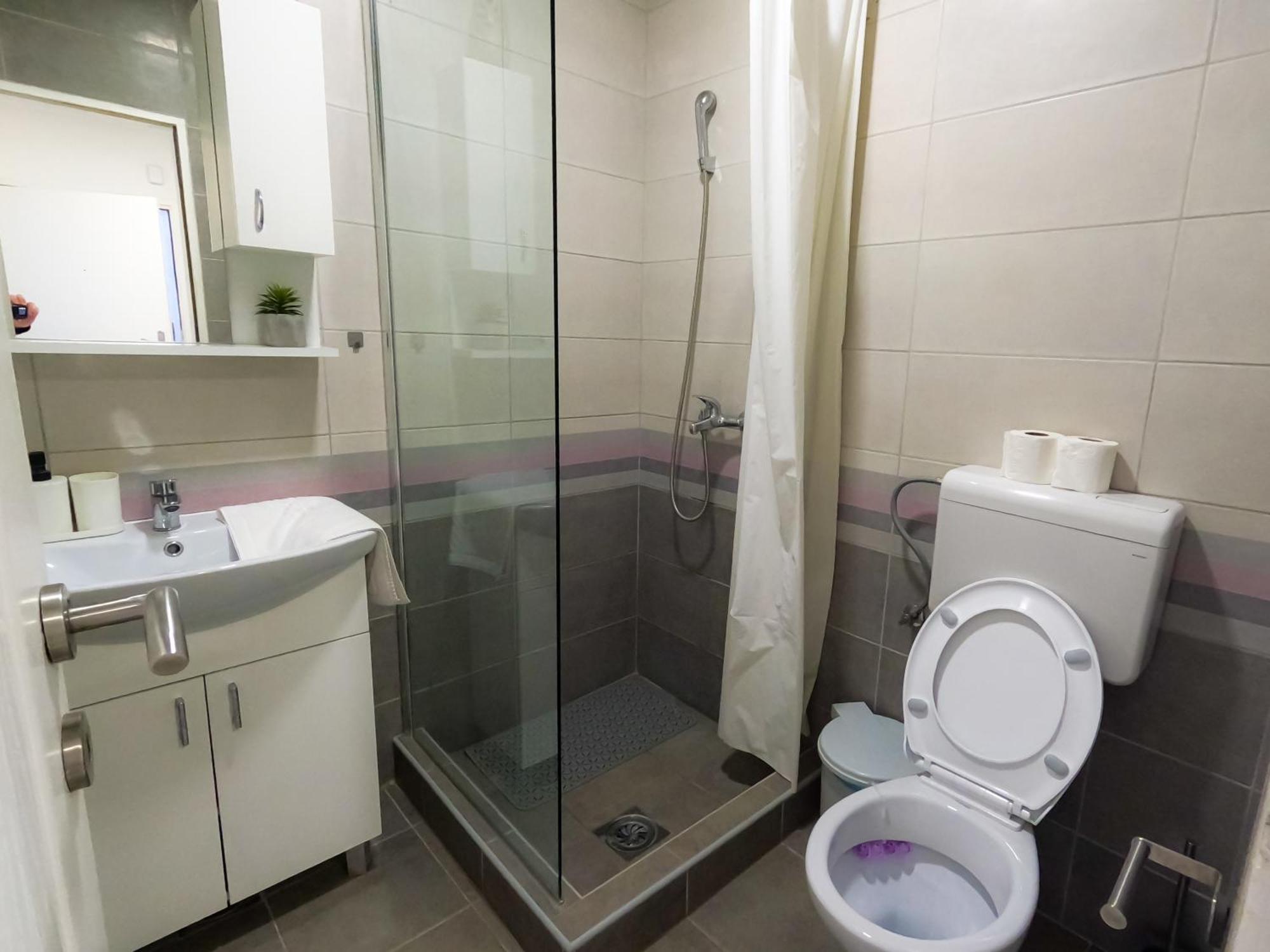 Apartments Velickovic Sokobanja Extérieur photo