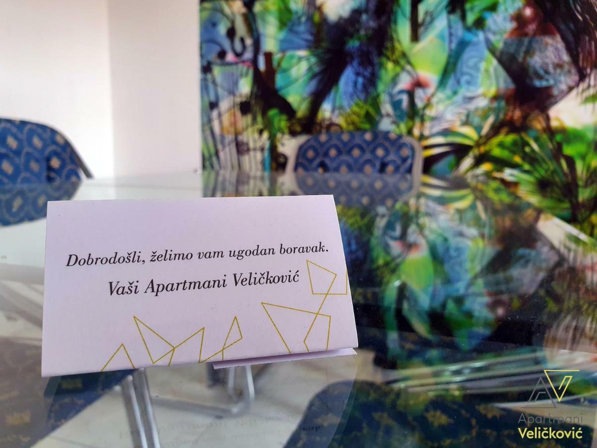 Apartments Velickovic Sokobanja Extérieur photo